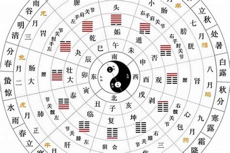 生肖 天干|十二天干地支对照表 十天干和十二地支详解